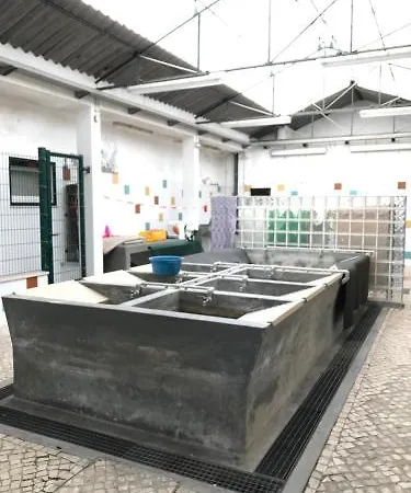 Διαμέρισμα Alfama *